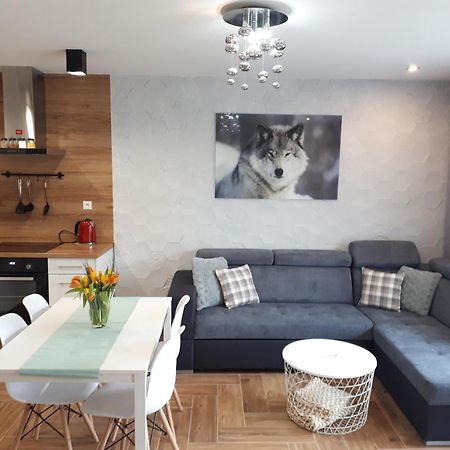 Apartamenty Pod Dzikowcem Boguszów-Gorce Exterior foto