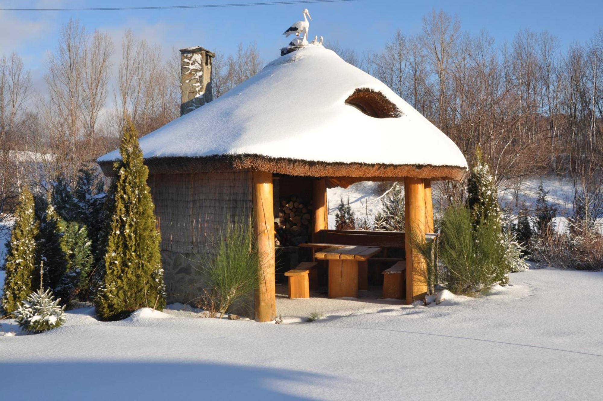 Apartamenty Pod Dzikowcem Boguszów-Gorce Exterior foto