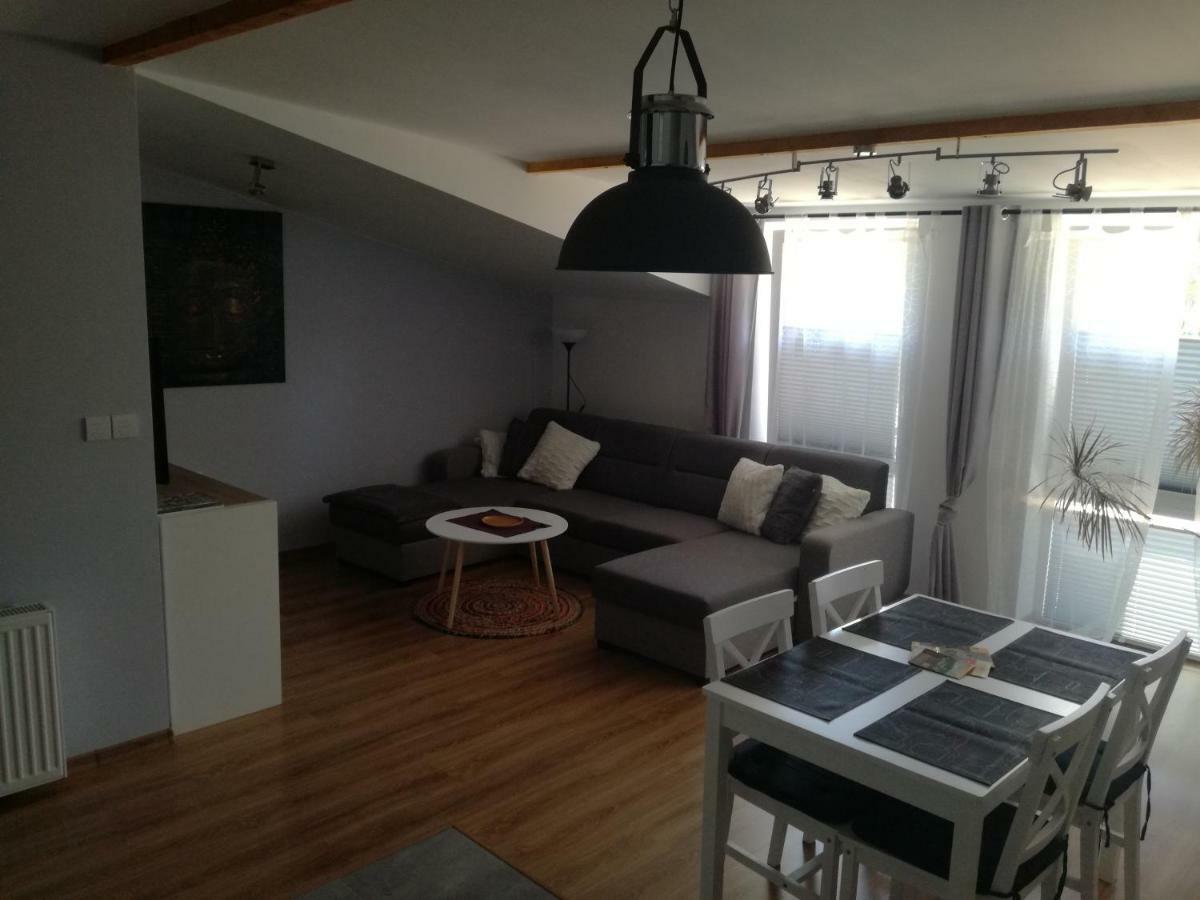 Apartamenty Pod Dzikowcem Boguszów-Gorce Exterior foto